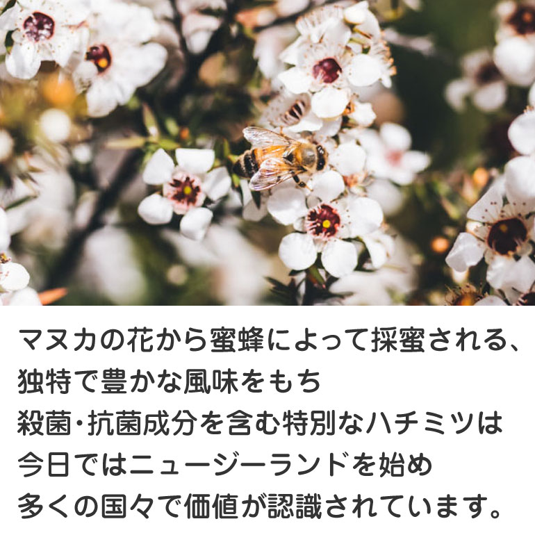 メール便発送可 ハニードロップレット マヌカハニー Umf10 Umf15 ハニージャパン Honey Japan のど飴 アメ ドロップ ロゼンジ 蜂蜜 はちみつ ニュージーランド 抗菌 おやつ 健康 口内炎 ドリームコンタクト