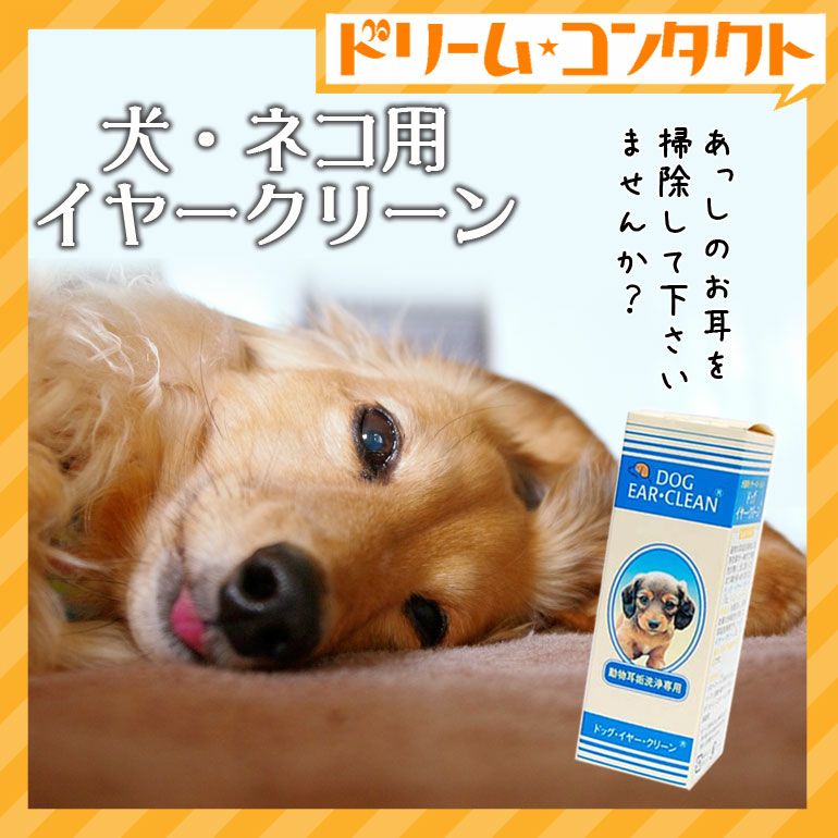 ドッグ イヤー クリーン 50ml 犬猫用イヤーローション 犬と猫にご使用いただけます ペット専用 ドリームコンタクト